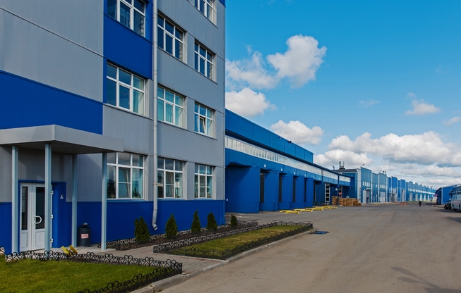 ESTEL PLANT